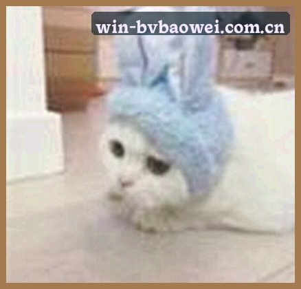 周杰