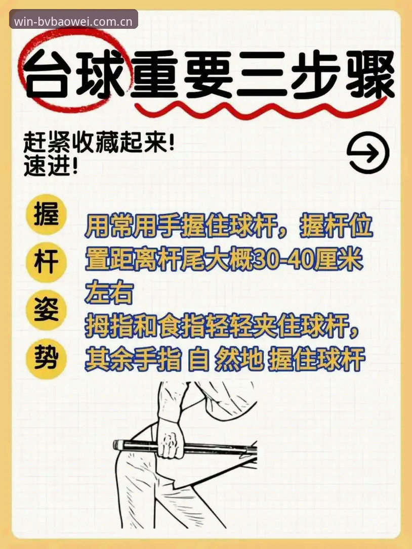 宝威体育平台深度使用技巧：从新手到高手的必备知识
